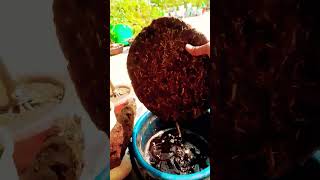 Uple Se Bnayen Liquid Fertilizer