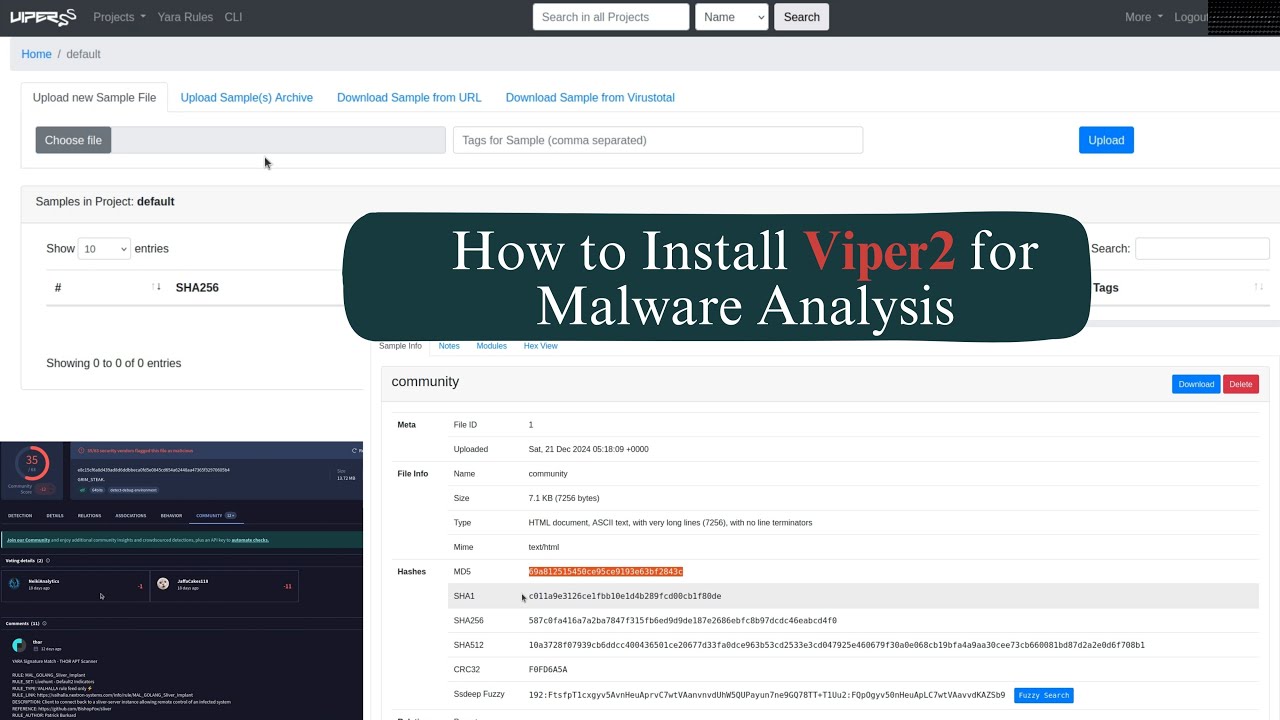 Malware Analysis Simplified: Viper2 Framework Step-by-Step Guide - YouTube
