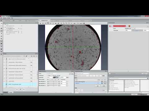Out-of-Core Pore Space Segmentation for Large Micro-CT Datasets | PerGeos Tutorial