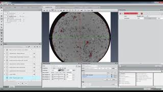 Celebrity PerGeos Software | Out of core pore space segmentation in a carbonate plug Wealth