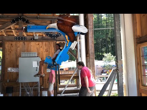 The Soaring Eagle at Kimball Farm