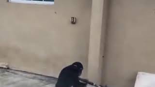 Monke cleans the evidence
