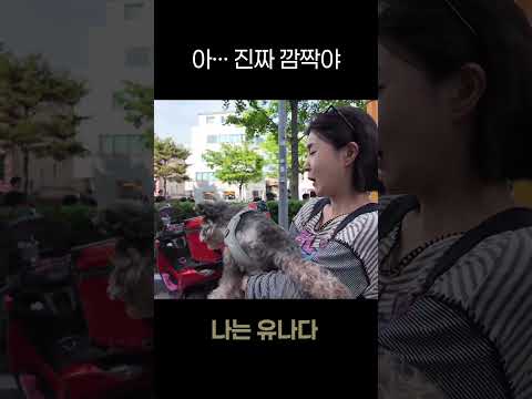 사냥 본능이니 ? thumbnail