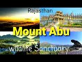 Mount abu  wild life sanctuary in hindi ps velly