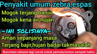 Daihatsu espas susah hidup  setelah terjang bajir dan hujan lebat