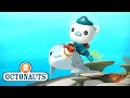 @Octonauts - The Dolphin Reef Rescue | Full Episode 44 | @Octonauts and Friends