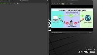 Man in the Middle Attack (MitM) Demonstration 2020