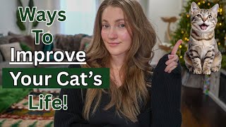 How to Improve Your Cat’s Life: 9 Things Every Cat Parent Should Do
