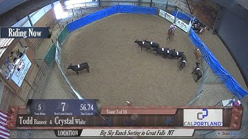 Big Sky Ranch Sorting Saddle Series #5 - #5 - Round #2 - Ride #3