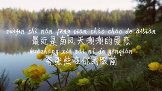 【娃娃脸-后弦】WA WA LIAN-HOU XIAN /TIKTOK,抖音,틱톡/Pinyin Lyrics, 拼音歌词, 병음가사/No AD, 无广告, 광고없음