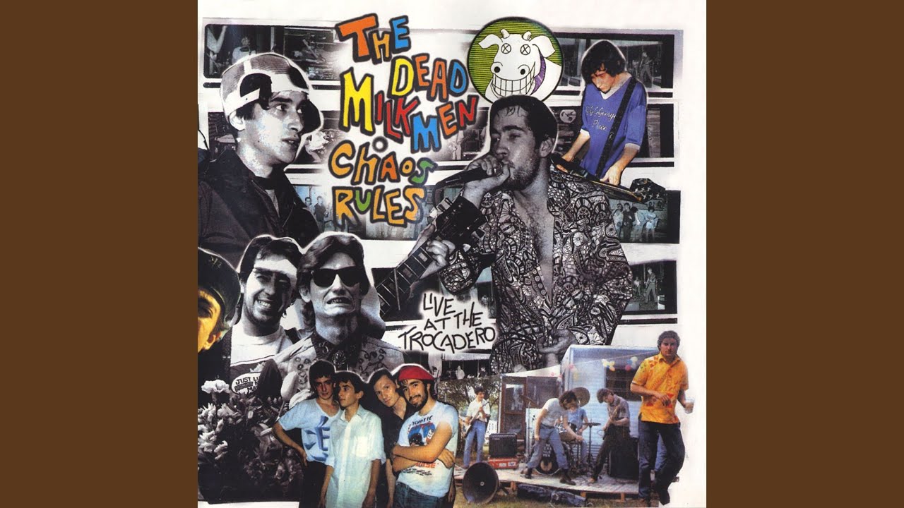 Right Wing Pigeons (Live)