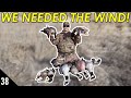 Hunting a TINY Pond For GEESE (Frustrating) | 28 Gauge Nebraska Duck and Goose Hunting 2020