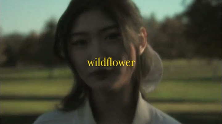 yung kai - wildflower (official lyric video)