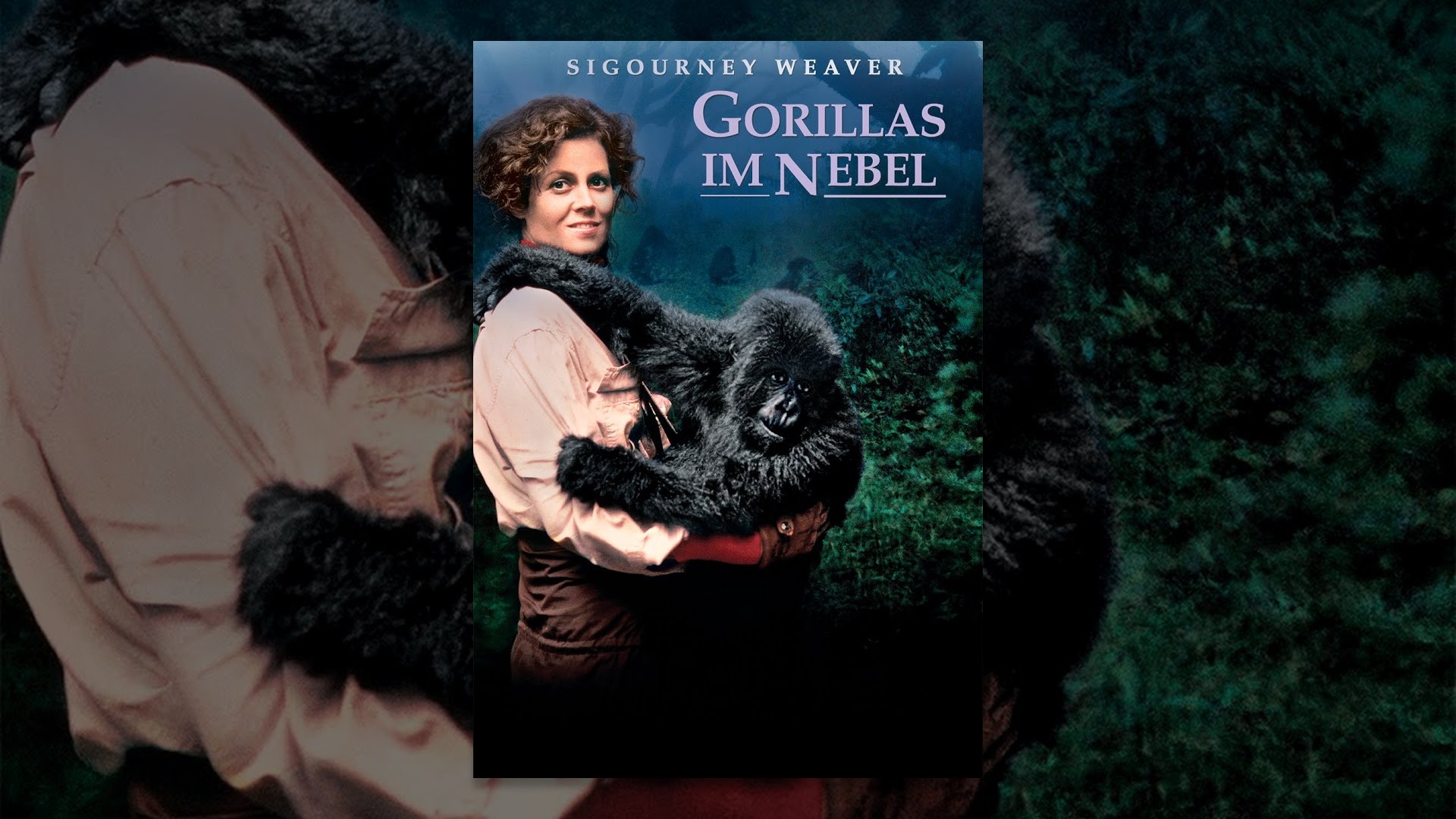 Gorillas Im Nebel Gorillas Im Nebel