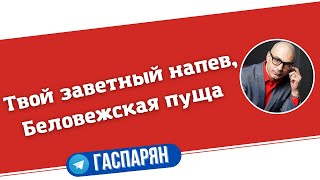 Твой заветный напев, Беловежская пуща