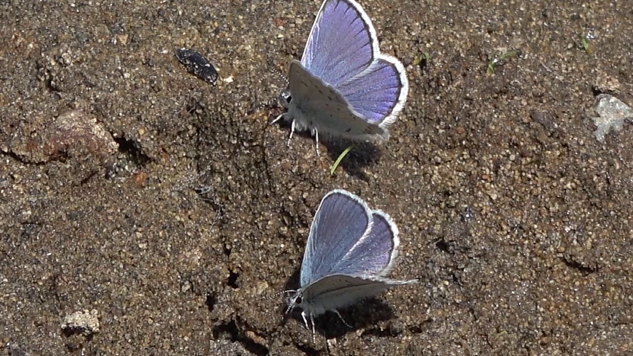 Mountain Moment: Mud Puddling