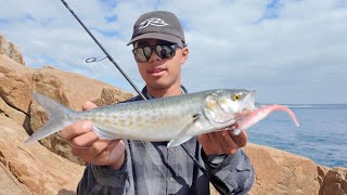“Casting Soft Plastics From the Rocks with Light Tackle!… This Went OFF” screenshot 2