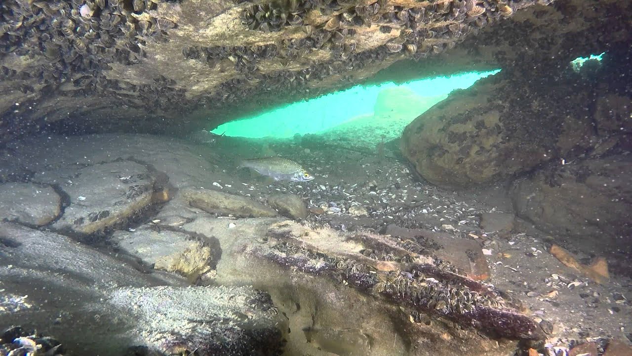 Zollbrücke Rheinau - Diving Rhine River - 19 July 2015