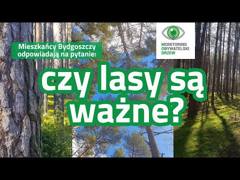 Wideo: Dlaczego las liściasty jest ważny?