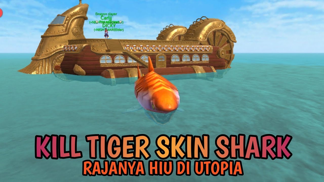 KiLL Tiger Skin Shark Utopia Origin Indonesia YouTube