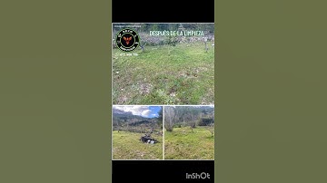 ANTES y DESPUÉS de la limpieza de un campo.Solo quería quitar el exceso..Quedó encantado 😍 #forestal