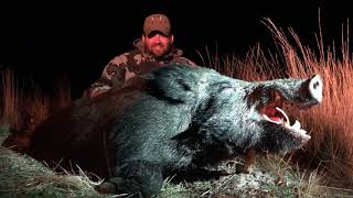 2017 season Algar Safaris- Big game screenshot 3