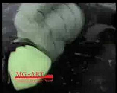 Manuel Göttsching + Kinga at Anoyo Festival 2006 „Zerfluss"