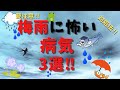 梅雨の病気