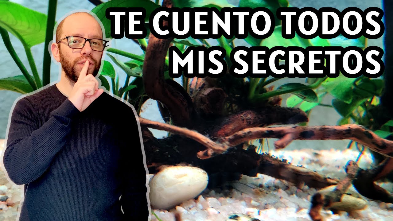 Rutinas que sigo en mis acuarios - Iluminación, abonado, productos que uso...