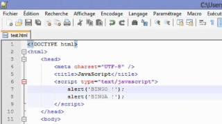 JavaScript - 3 - Où insérer du code JavaScript 