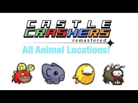 Help to get all the animal orbs in castle crashers™ - Home