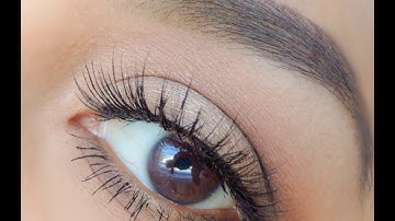 My current brow routine