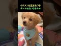 イケメンって、生まれ持ったチートみたいなもんだよね。