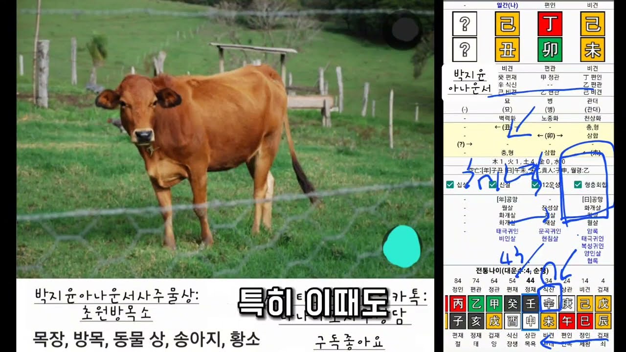 시간순삭) 박지윤 아나운서 사주 욕망보단 근면성실억척