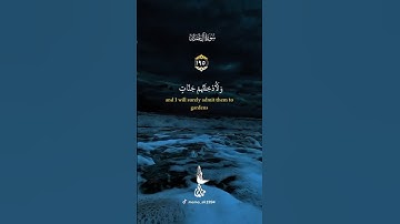 سورة ال عمران #اكسبلور #القران #دويتو #القاريء #حالات_واتس #كرومات #duet #الصلاه #لايك #جامعه