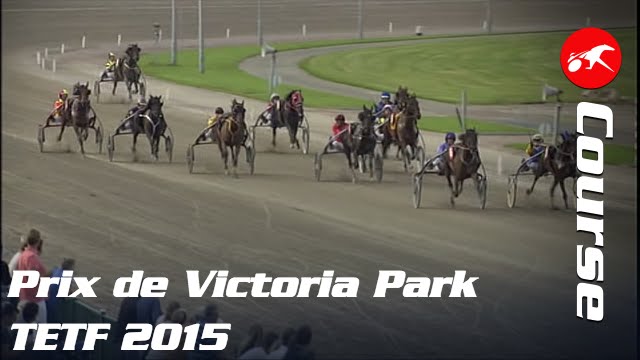 Grand Prix de Victoria Park 2015 - Etape 1 du TETF à Wolvega (Pays-Bas)
