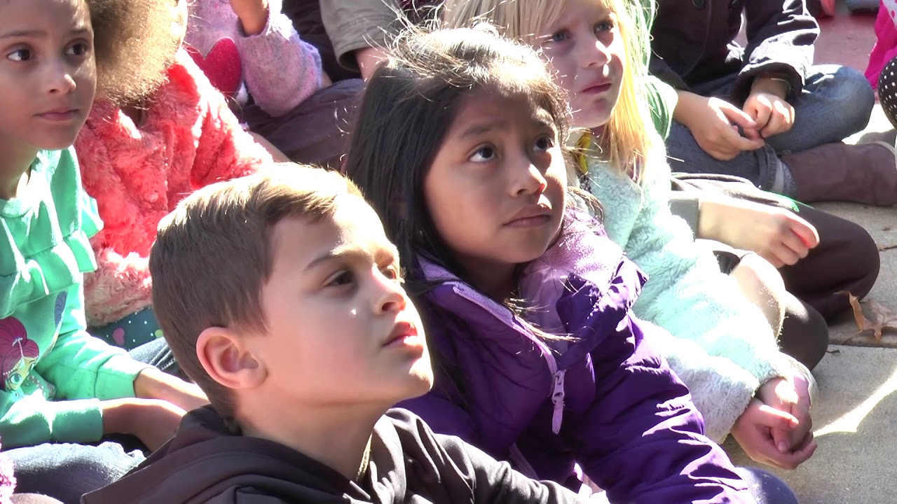 York ave elementary little free library youtube
