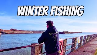 Download Lagu Enjoying the Winter Sunshine Fishing my local Harbour - Surprise catch  MP3
