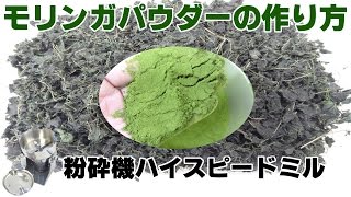 [スーパーフード]モリンガパウダーの作り方