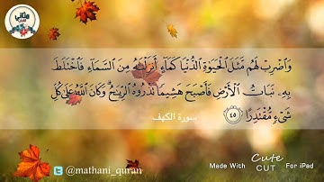 تلاوة خاشعة من سورة الكهف | وديع اليمني { واضرب لهم مثل الحياة الدنيا كماء أنزلناه من السماء }