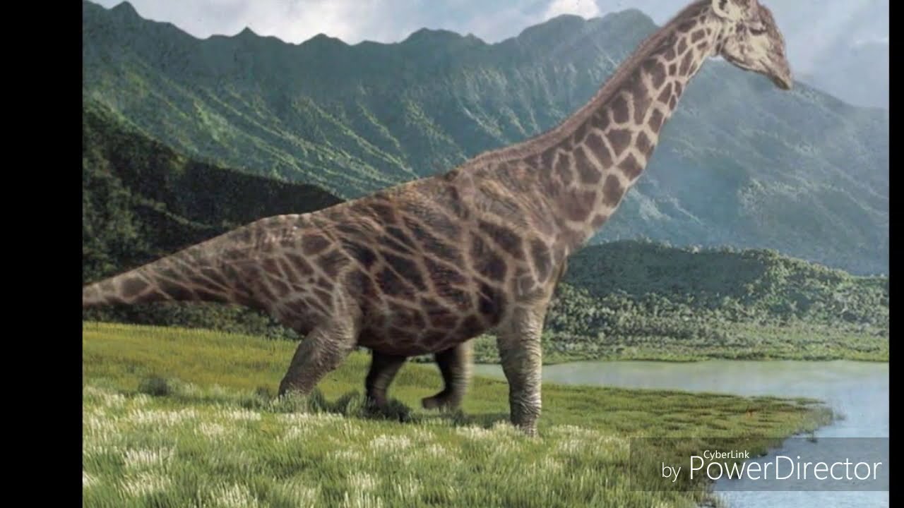 Самое высокоорганизованное животное. Диплодок и Жираф. Динозавры Жирафы. Динозавр с шеей жирафа. Динозавр похожий на жирафа.