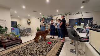 Jim & Toula Final   SD 480p