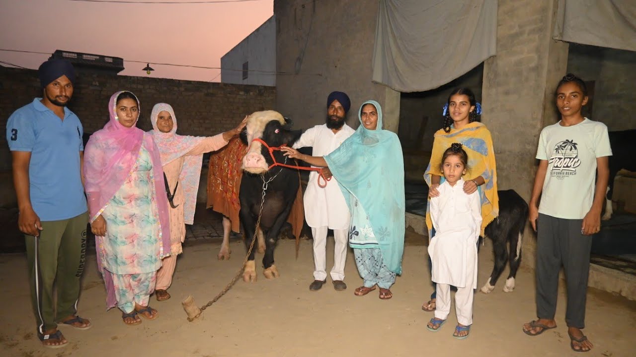 ਦੇਖੋ 5 ਲੱਖ ਦੀ ਵਿਕੀ ਨੀਲੀ ਰਾਵੀ ਝੋਟੀ, Neeli Ravi Buffalo Sold out in 5 Lakh rupees.