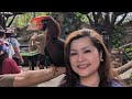 HELLO EVERYONE#valsantosmatubang#rheina#teamkuroda