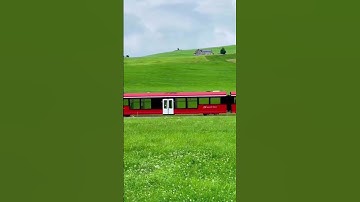 😍CodingTime | #coding #shorts #programming #tashkent #dasturlash #python #htmlMuzaffar dev