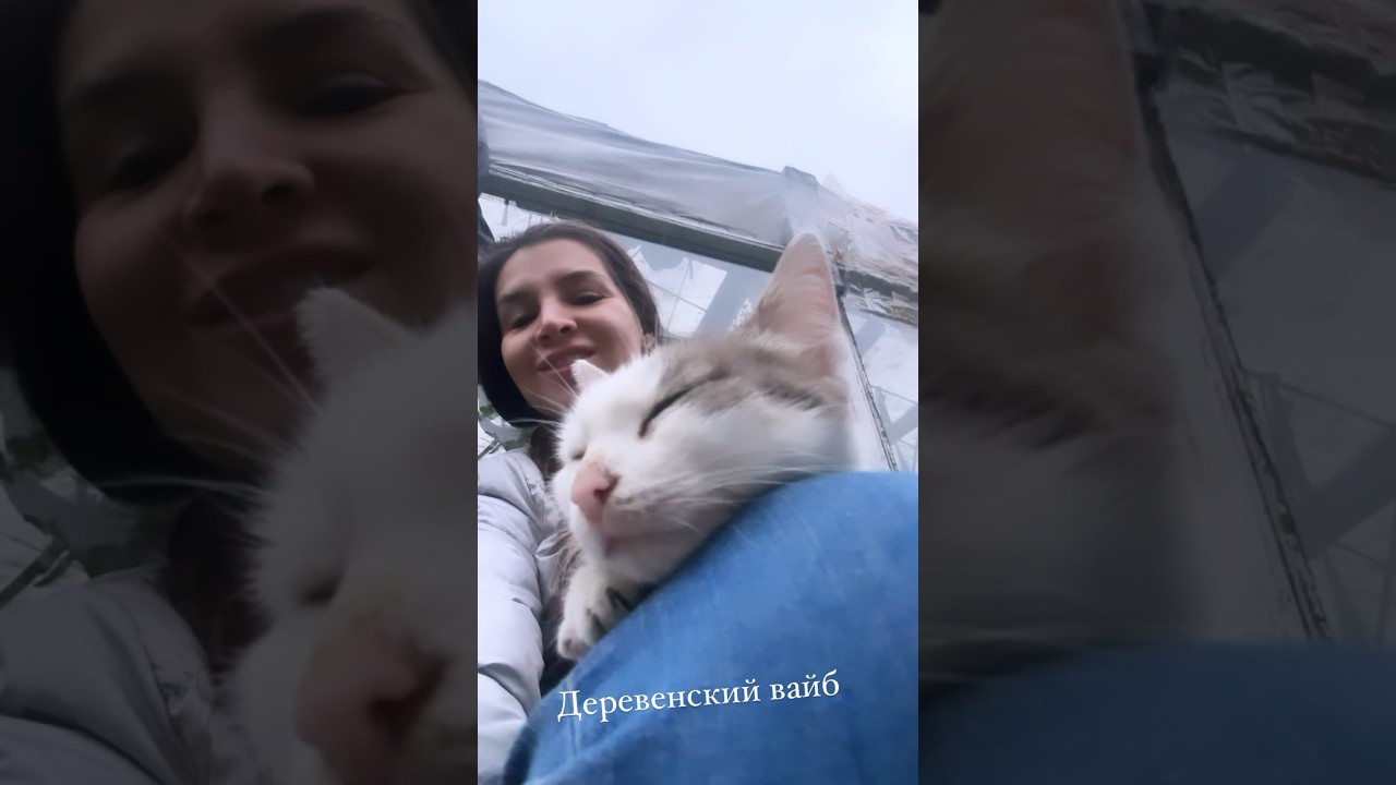 Деревенский вайб. #деревня #вайб #спокойствие #кошки #кошка #life #enjoy #осень2023 #girl #счастье