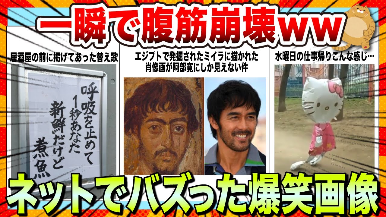 【🔥爆笑】夏の疲れが吹っ飛ぶwwwSNSでバズってる爆笑画像＆動画まとめ【2ch】【5ch】【ゆっくり解説】【コメ付き】【面白画像】