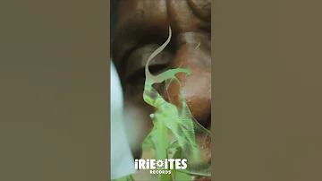 U Brown Linval Thompson Irie Ites Original Ganja Man Official Video Shorts 6 