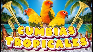 🔆CUMBIAS TROPICALES MIX 🦜VIEJITAS TROPICALES🎺ACAPULCO TROPICAL, TROPICAL FLORIDA, LOS KARKIS...
