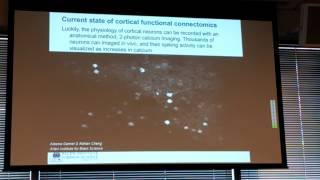 Clay Reid: neural activity in mouse visual cortex